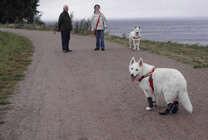 Der erste Spaziergang